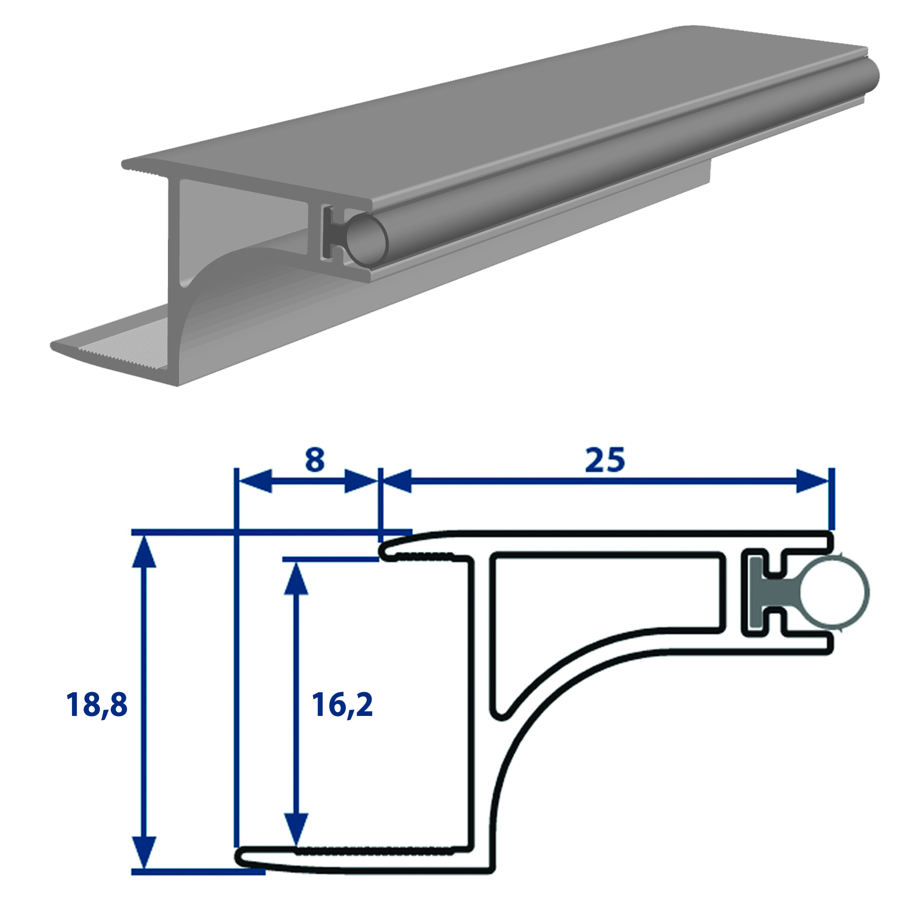 Gola Base .Costado 16